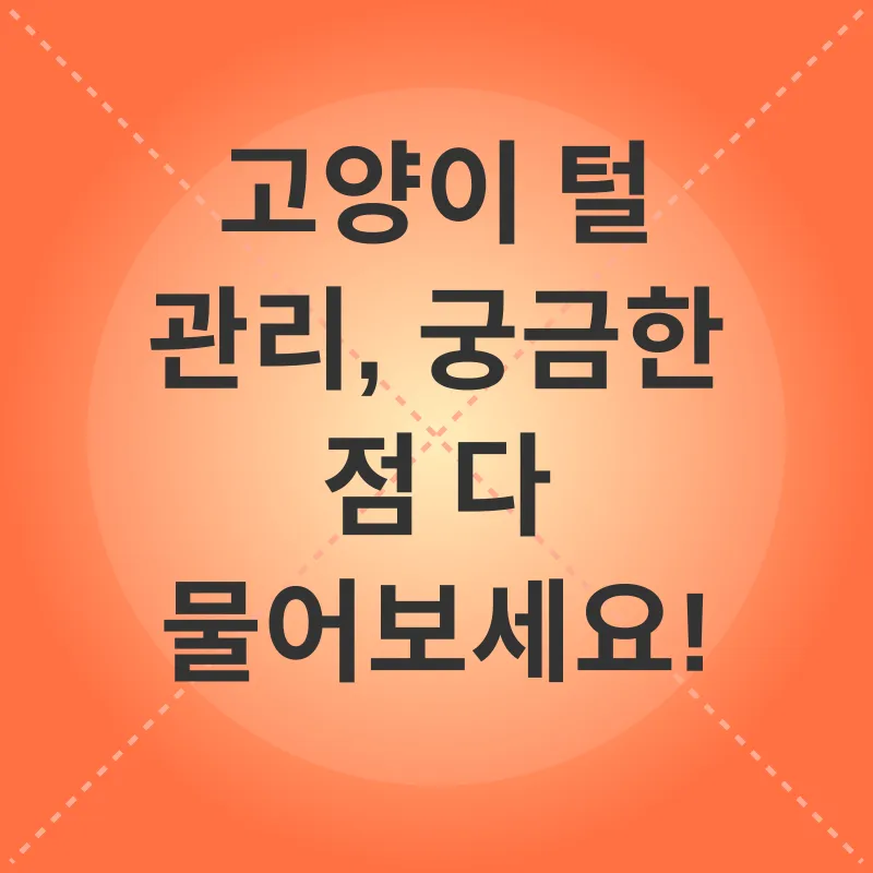 고양이 털 관리_3_subsection