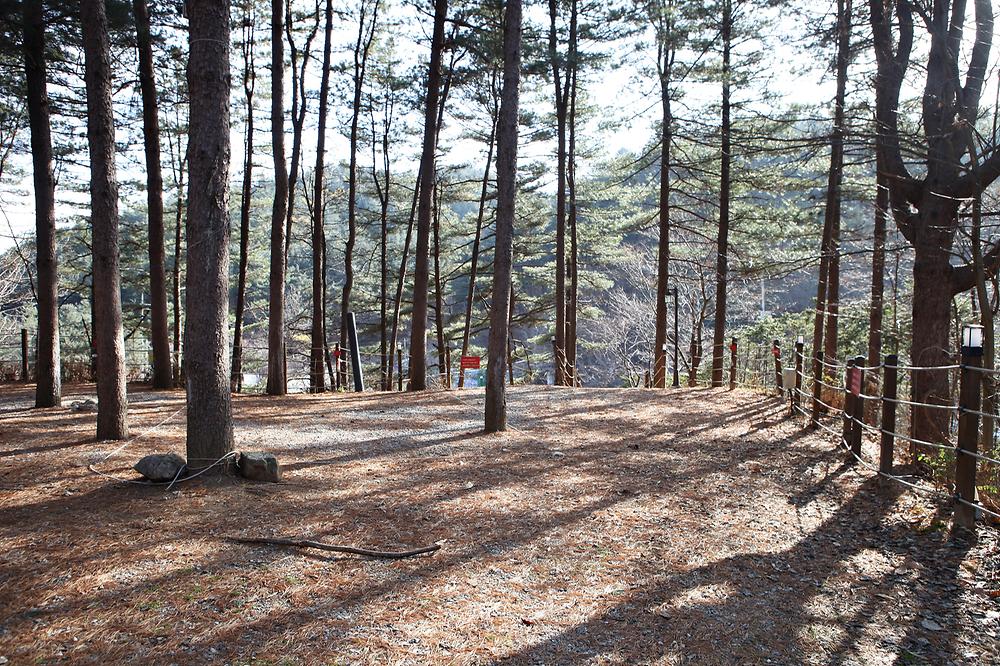 힐링별밤수목원캠핑장 소개