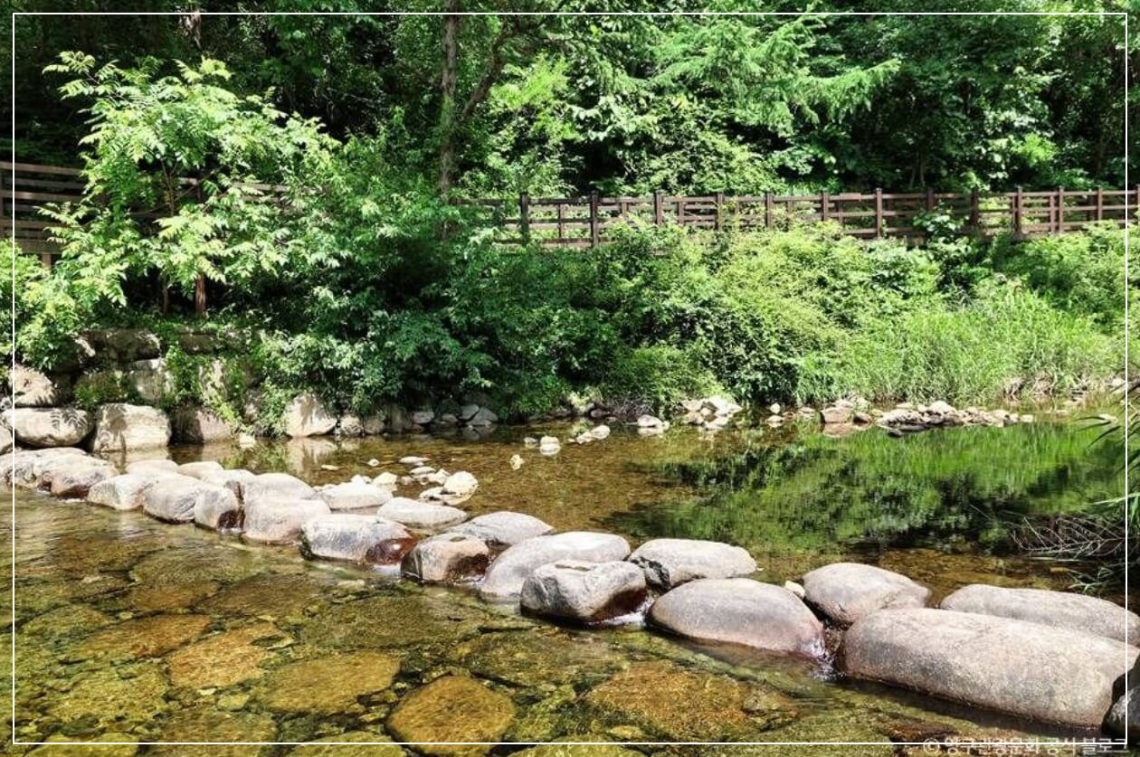 양구 가볼만한곳 베스트10 광치계곡