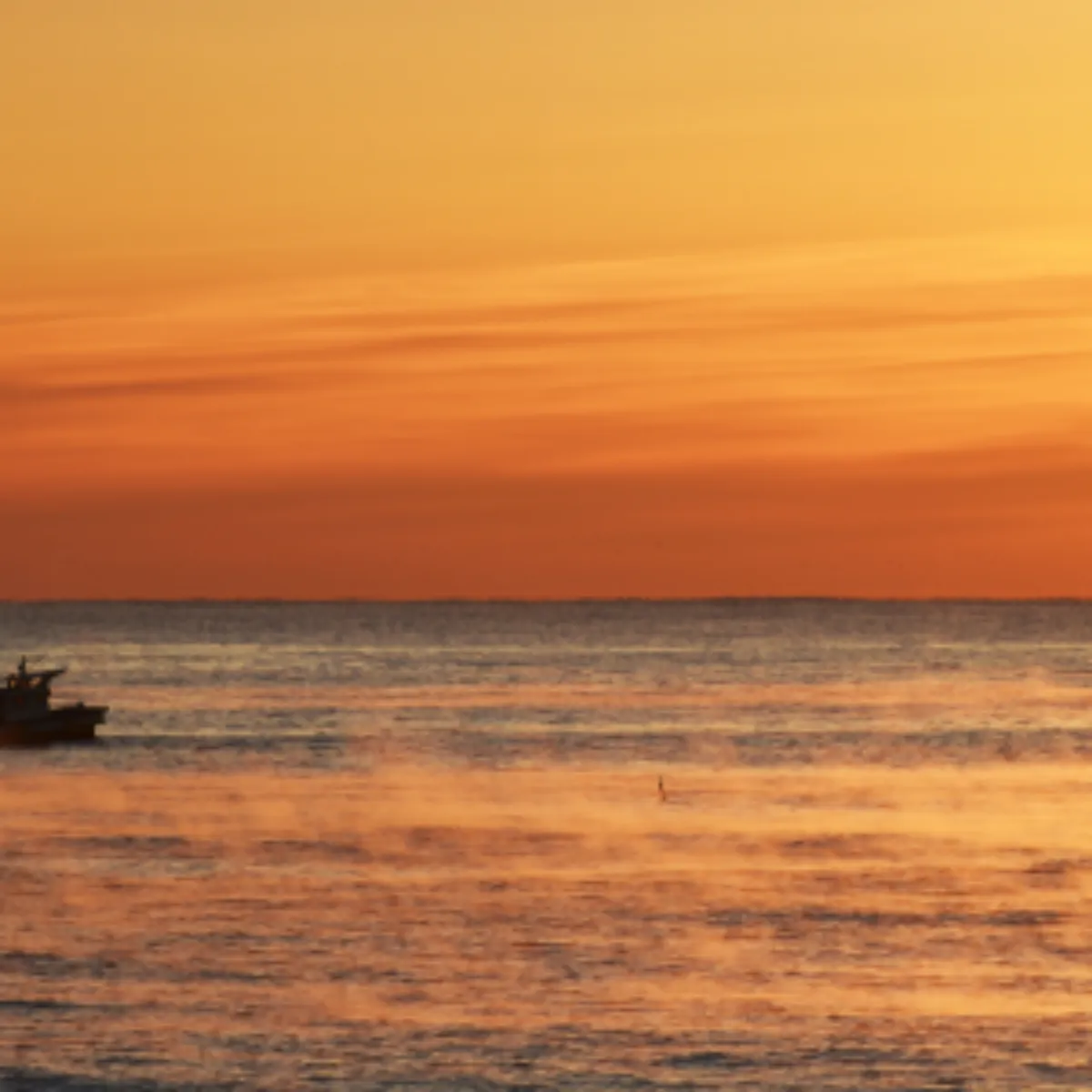 2025년 새해 일출 명소