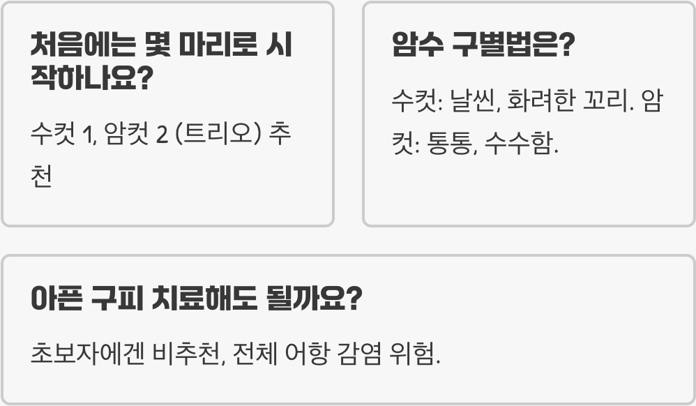 구피분양 받는 곳, 건강한 개체 고르는 법