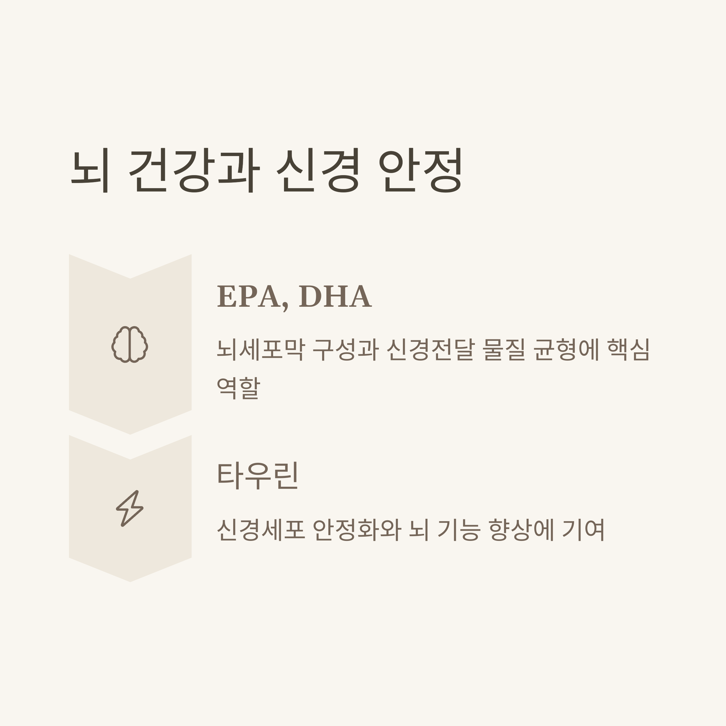 뇌 건강과 신경 안정