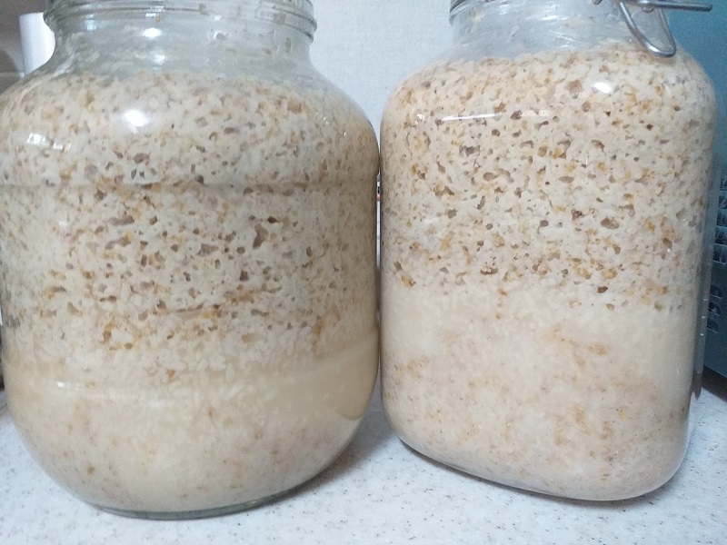 막걸리 만드는 방법