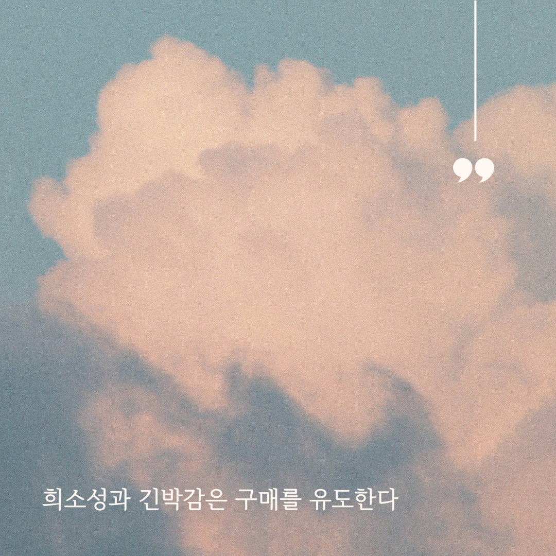 소비자심리_구매유도전략