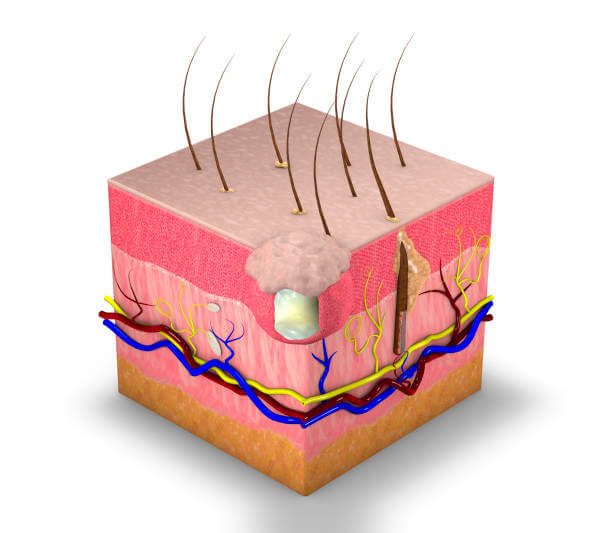 턱밑 몽우리 통증&amp;#44; 턱 아래에는 갑상선과 림프절뿐만 아니라 각종 신경이 위치하고 있어 스트레스나 피로가 누적되어 혹이나 혹이 생기기 쉽습니다. 다양한 원인들이 있는지 알아봤습니다. 참고하시기 바랍니다. 