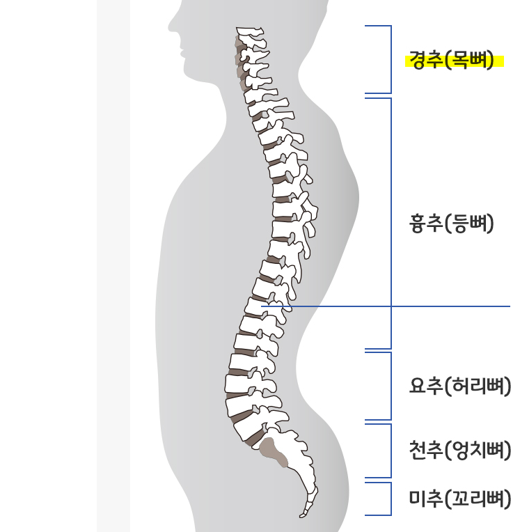 경추