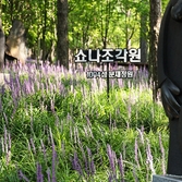 2025년 포토존 여행지 베스트