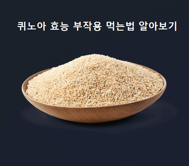 퀴노아