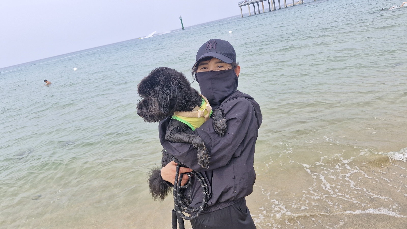 강아지가 앞발로 톡톡 건드리는 이유 7가지 (심리 해석 포함)