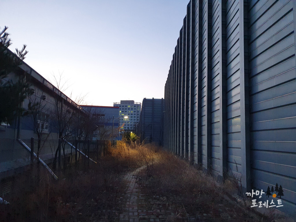 동학산 산책로