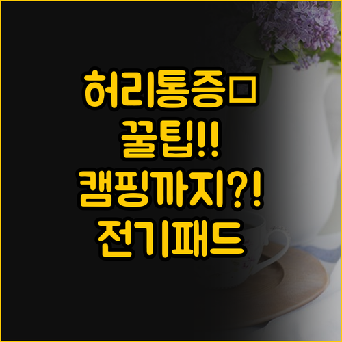 허리 통증 완화부터 캠핑까지, 전기 ..