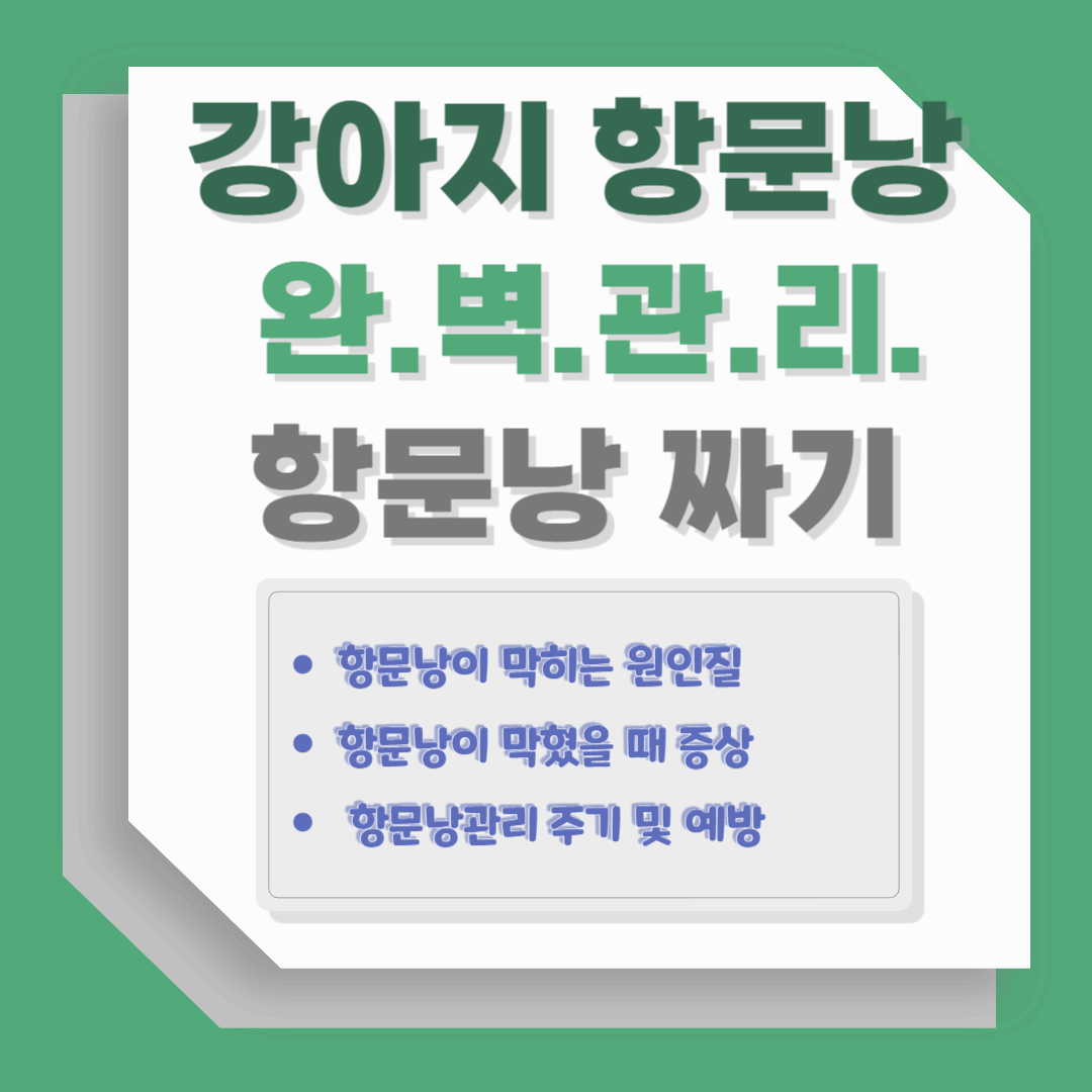 강아지 항문낭 완벽 관리법, 항문낭짜기