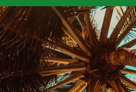 여름철건강관리