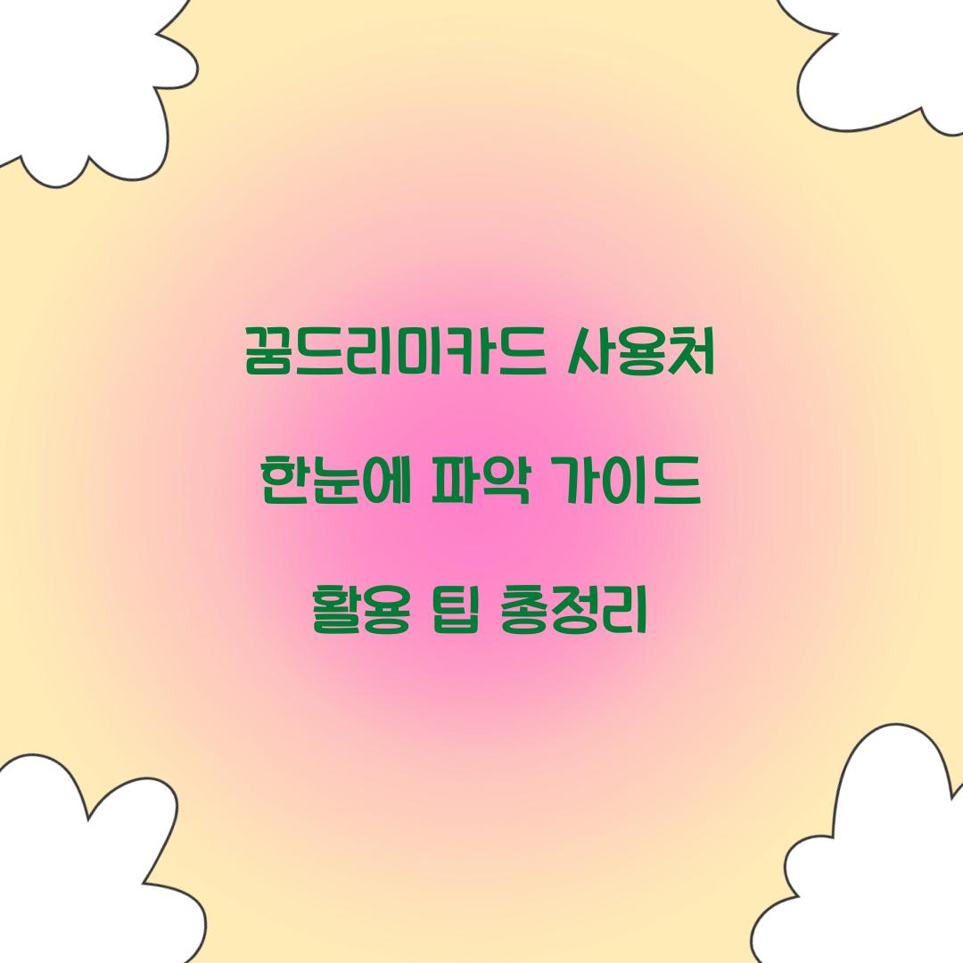 꿈드리미카드 사용처