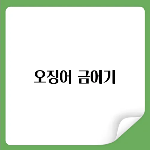 오징어 금어기