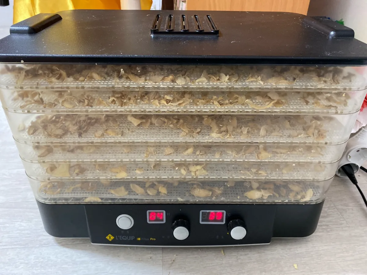 식품-건조기에서-건조되고있는-생강