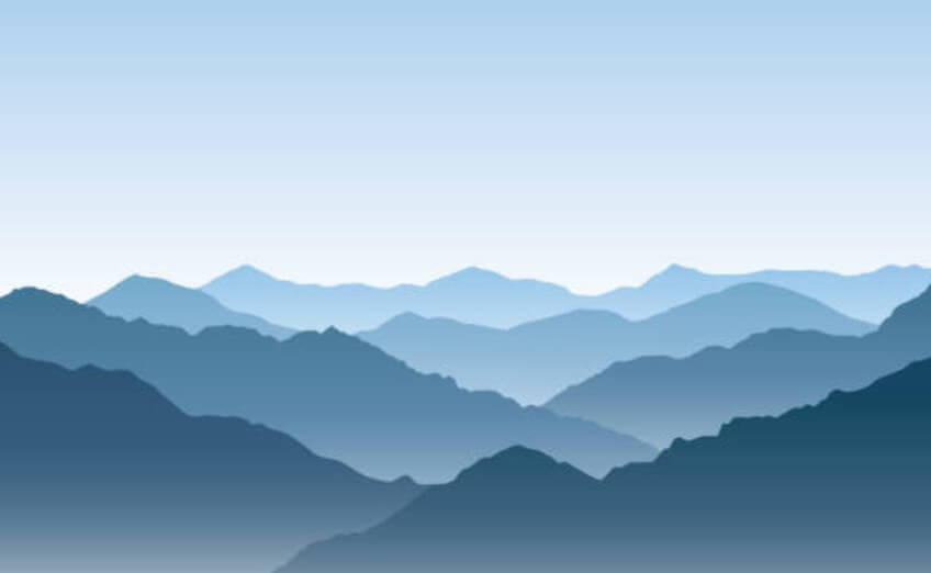 산에꽃이피어있는꿈