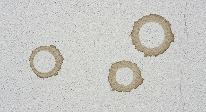 동그랗게 번지거나 선명한 물자국
