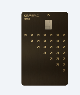 KB국민 사장님카드