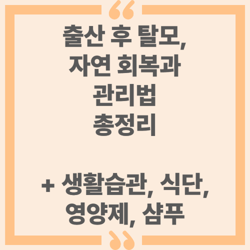출산 후 탈모, 자연 회복과 관리법 총정리 + 생활습관, 식단, 영양제, 샴푸