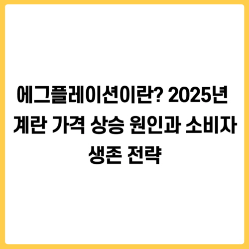 에그플레이션이란? 2025년 계란 가격 상승 원인과 소비자 생존 전략