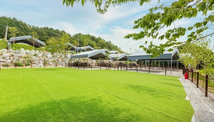 드루왈캠핑장