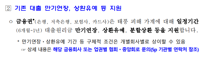 기존 대출 만기연장, 상환유예