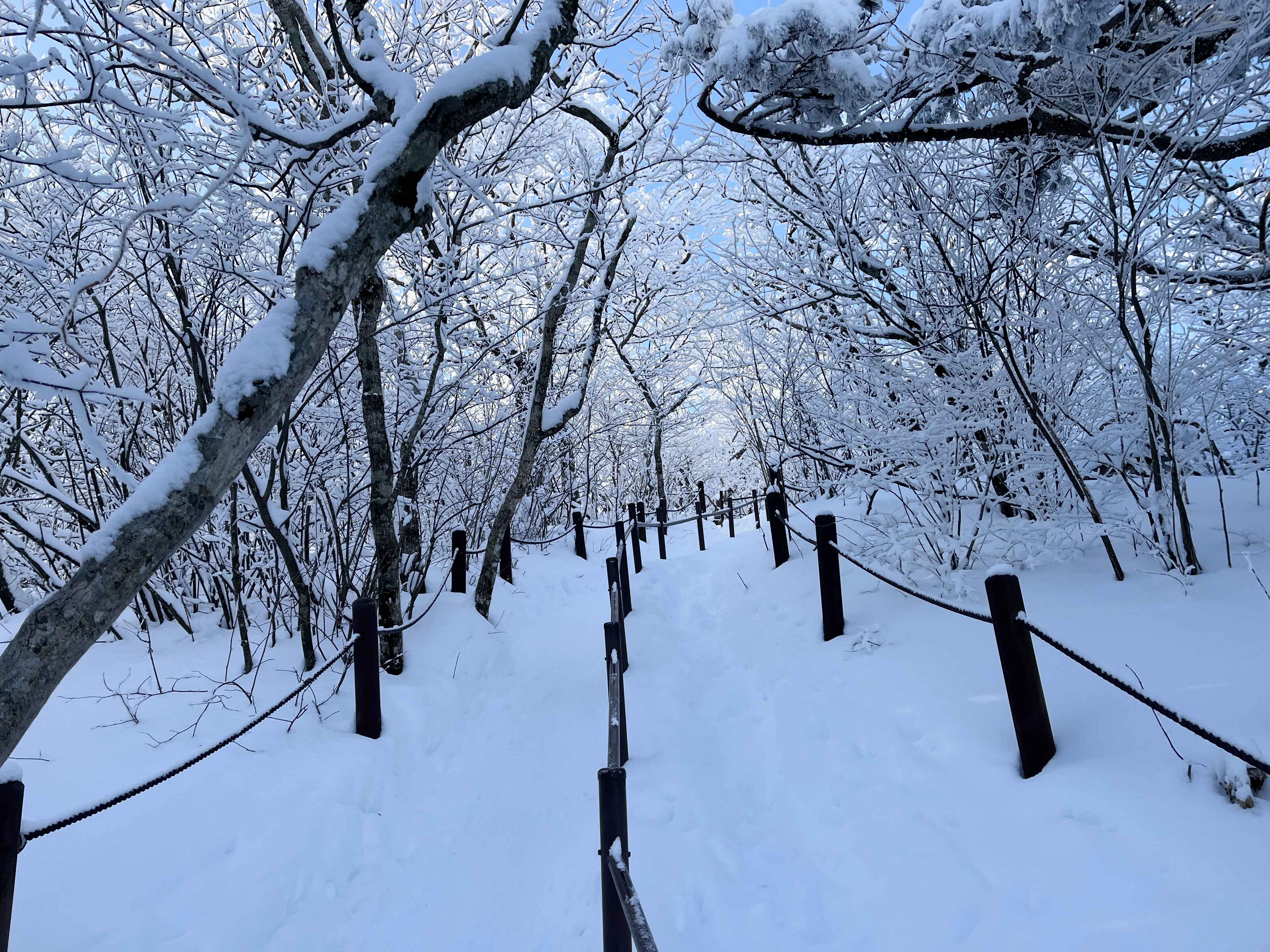 태백산