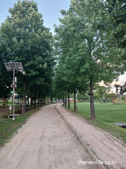 푸른 나무 아래 조성된 구리 한강시민공원 어싱 전용 흙길 풍경