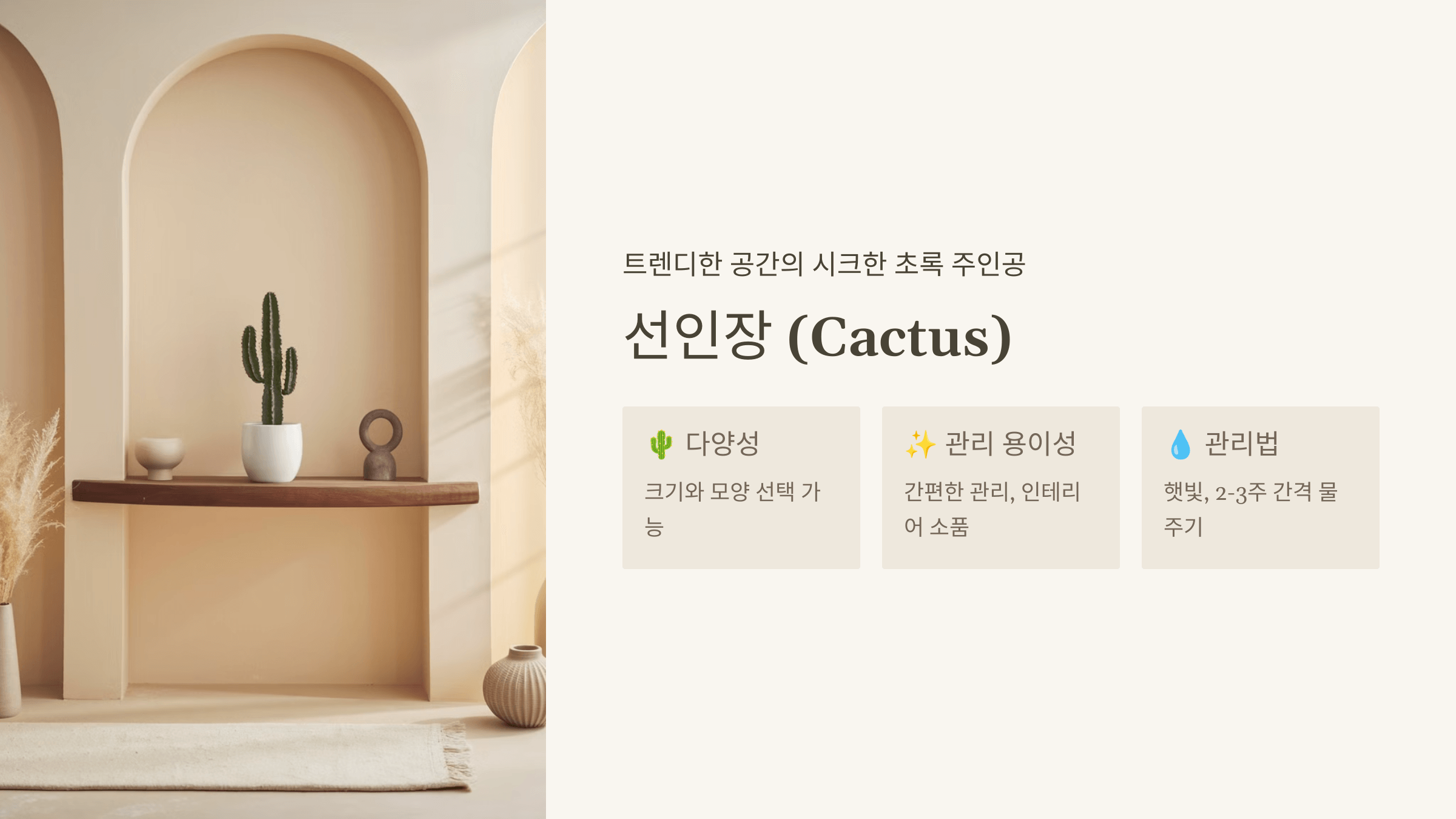 선인장 (Cactus)