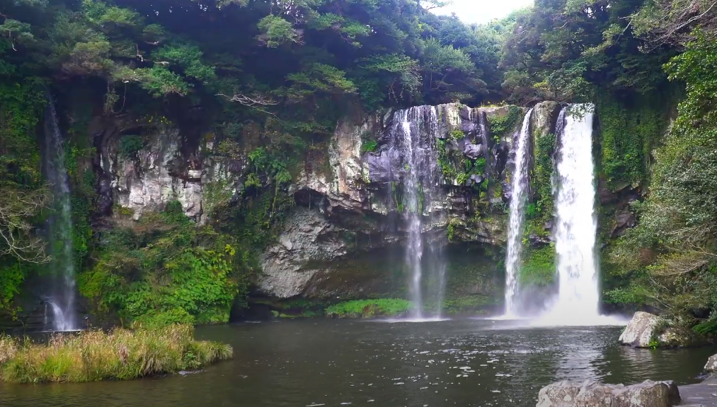 시원한 폭포수가 4개의 물줄기로 땅에 닿습니다. 너무 멋진 풍경을 담고 있는 천지연폭포입니다.