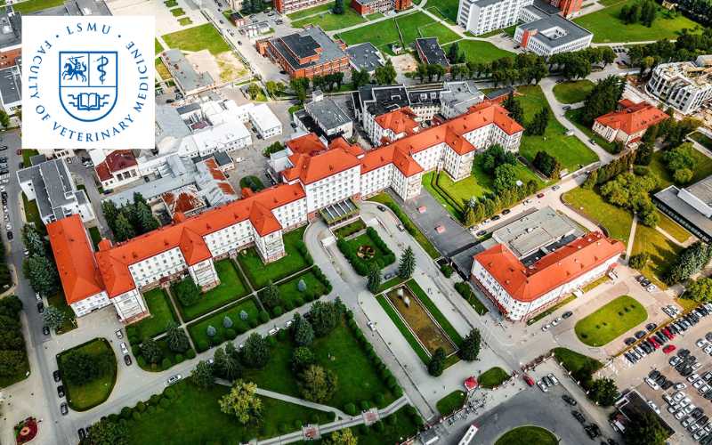 리투아니아 보건과학대학교 의과대학 관련 사진