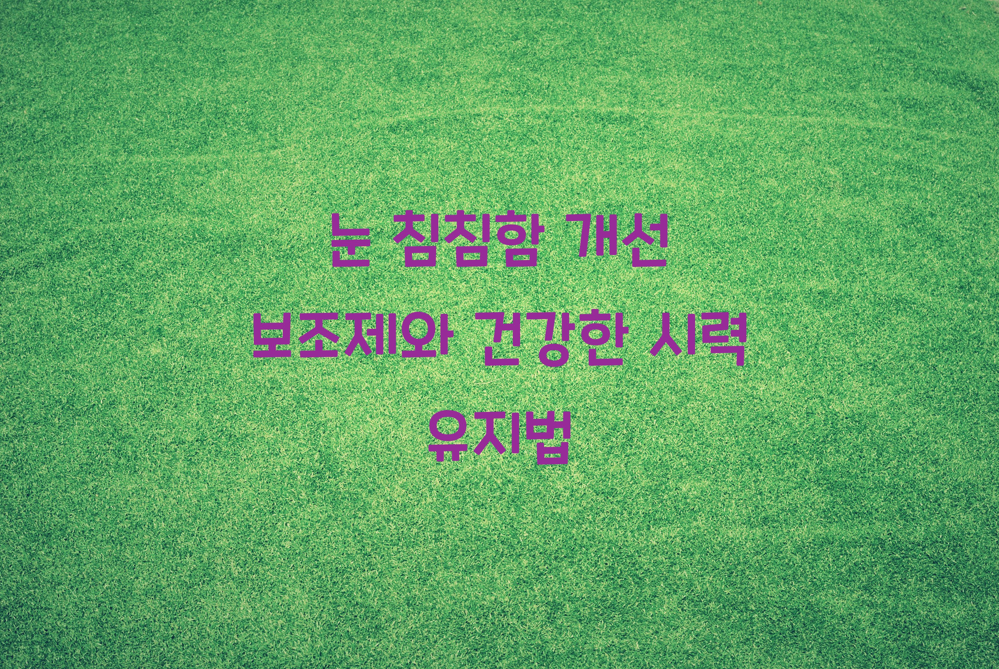 눈 침침함 개선 보조제