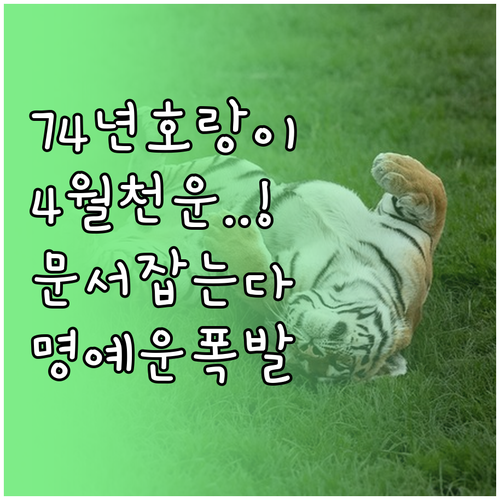 2026년 4월 1974년생 호랑이띠..