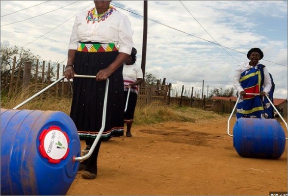 Hippo-Roller