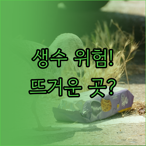 생수 보관 온도와 직사광선 미세플라스..
