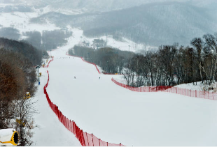 하얼빈 동계올림픽 중계