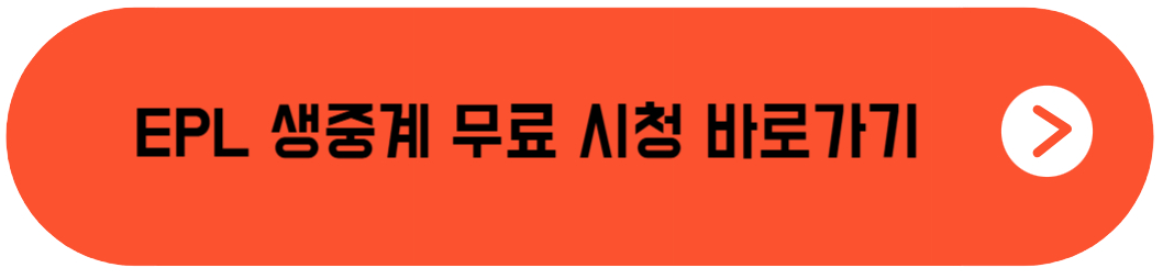 EPL 생중계 무료 시청