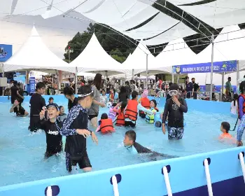 금산 삼계탕 축제_18