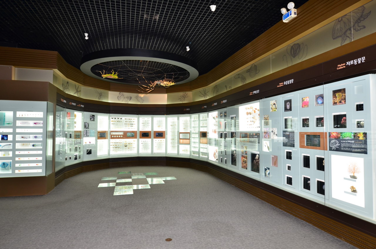 국립생물자원관 전시관 사진