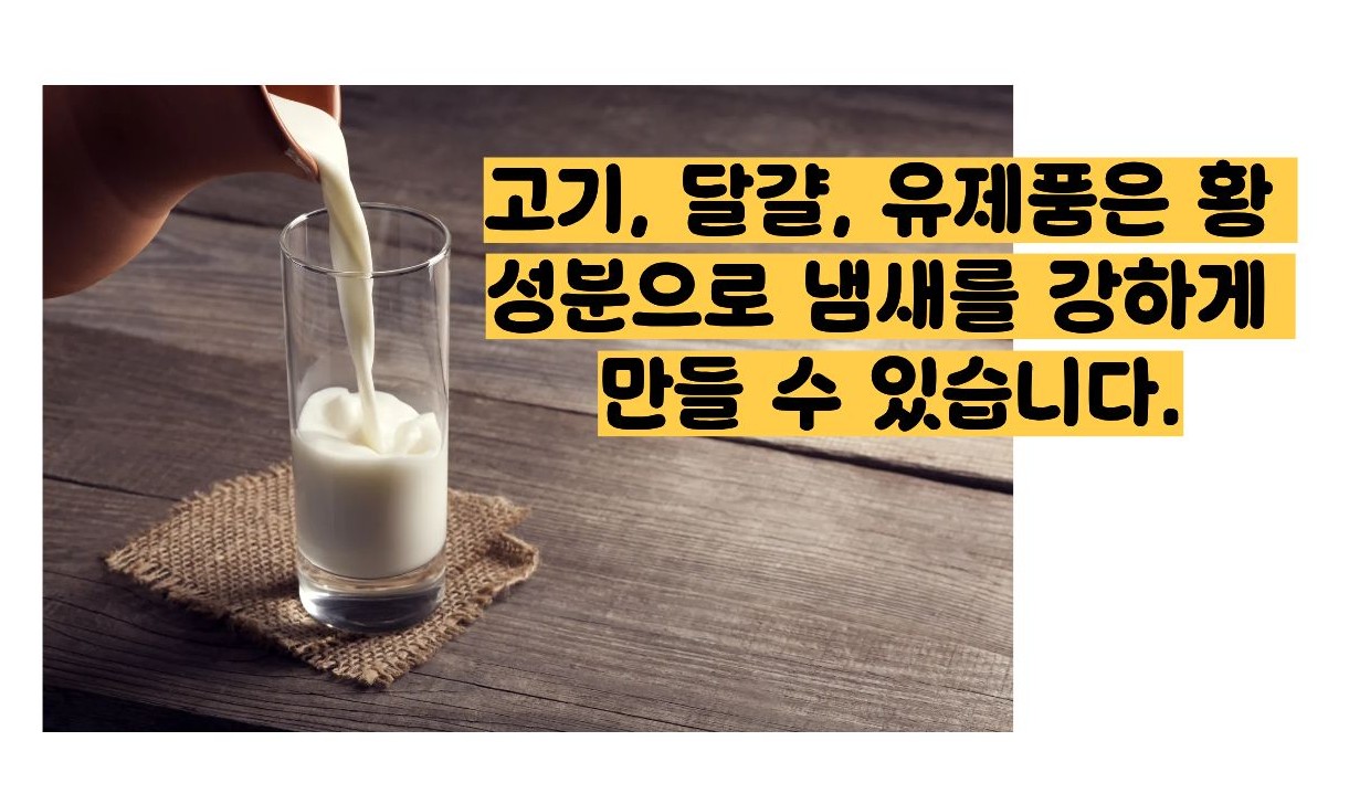 방귀 냄새가 지독해요