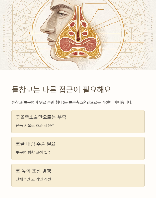 들창코는 다른 접근이 필요해요