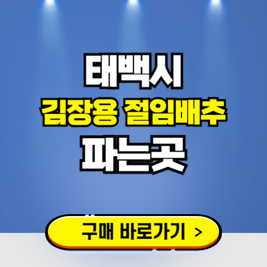 태백시 절임배추 사전예약 구입하는곳 ❘ 김장배추 파는곳 가격보기