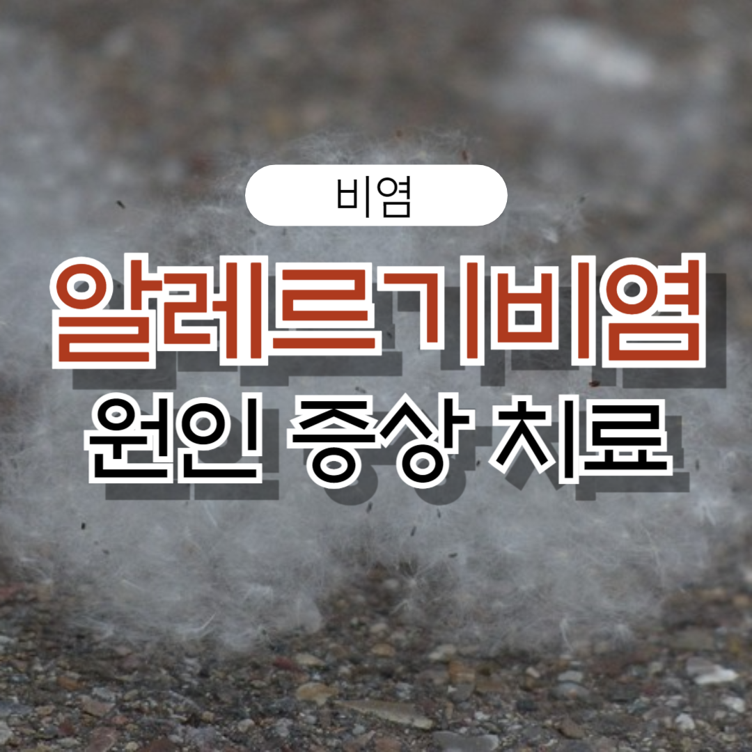 알레르기 비염 증상 치료 방법 원인