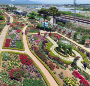 곡성세계장미축제