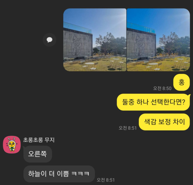 사진 비교 응답 8