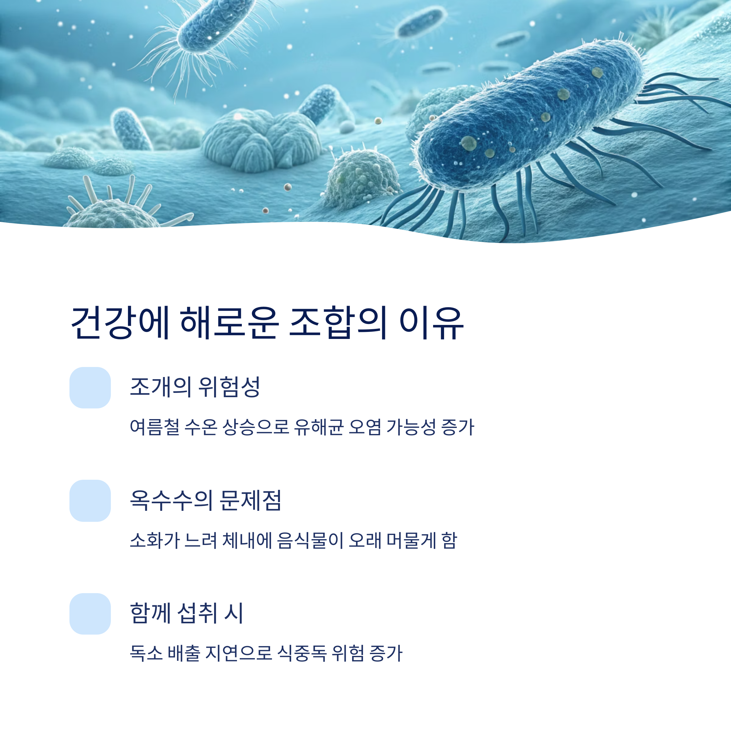 건강에 해로운 조합의 이유