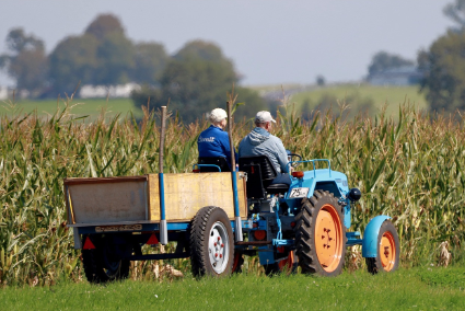 지방 청년을 위한 귀농·귀촌 지원 정책 총정리