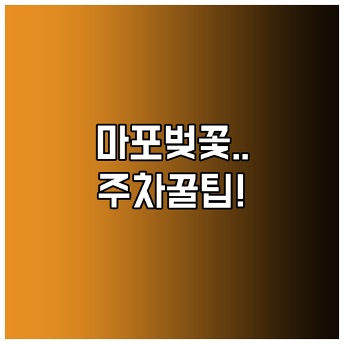 마포구 벚꽃 개화 예상일과 명소별 특..
