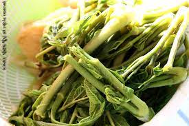  2024 봄 제철 음식 소개 및 효능 요리 정리 - 두릅